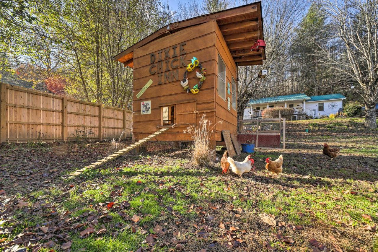 Smoky Mountain Vacation Rental With Hot Tub And Kayaks Whittier Екстериор снимка